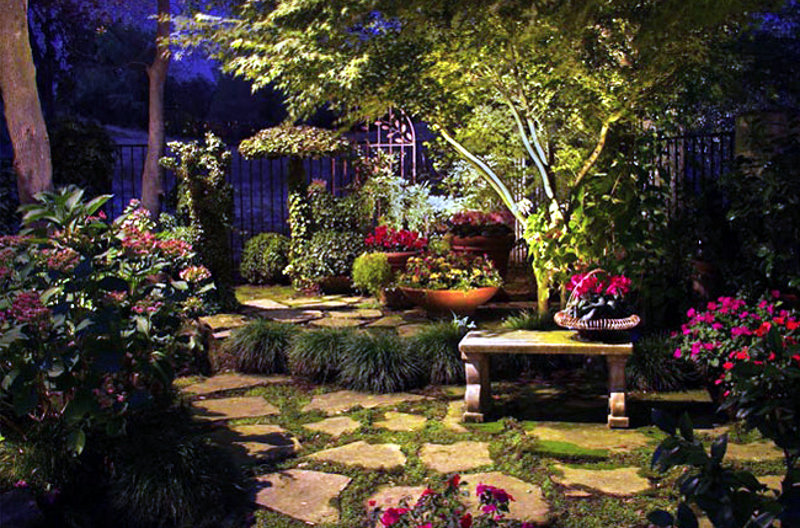 Сказочный сад ночью